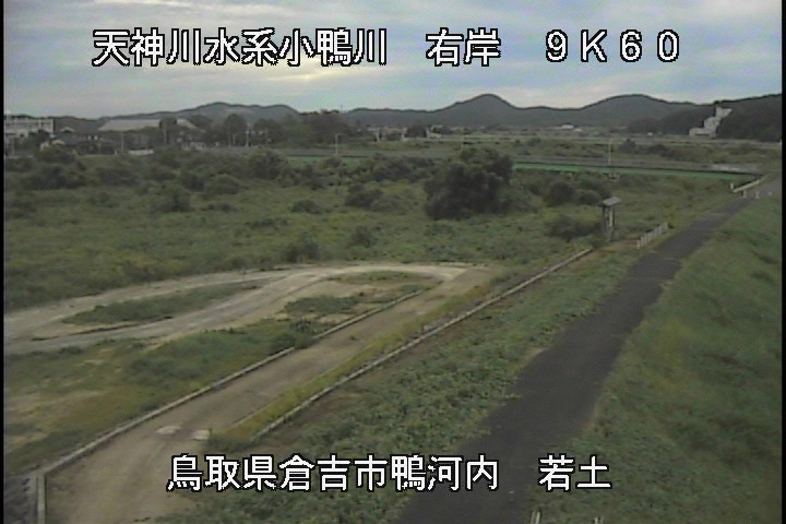 若土