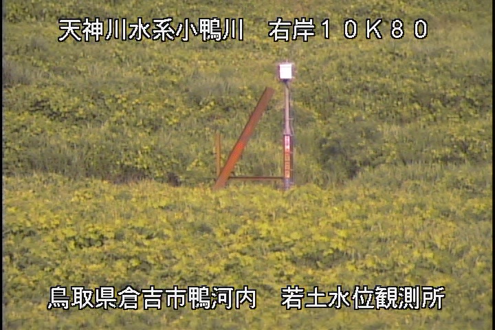 若土観測所