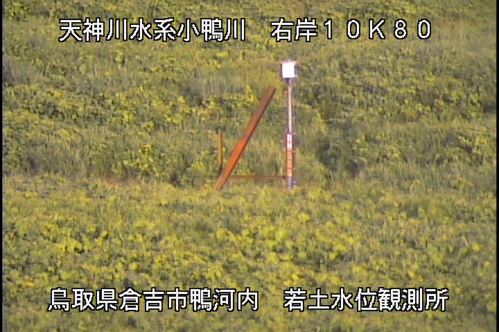 若土観測所