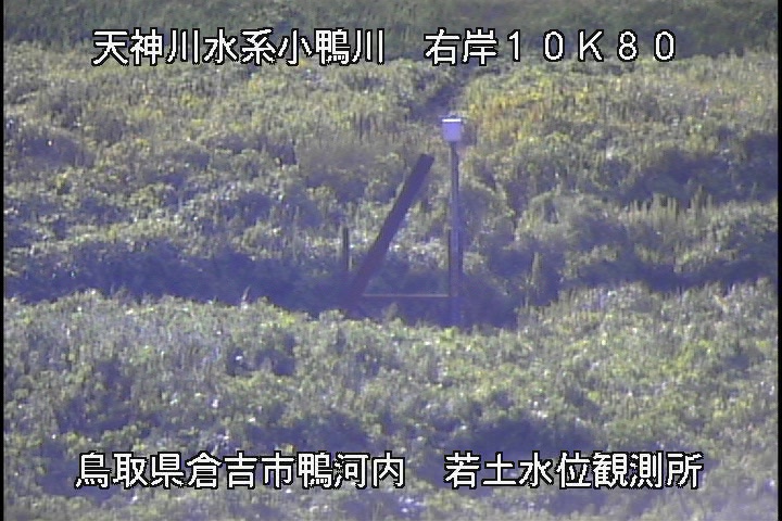 若土観測所
