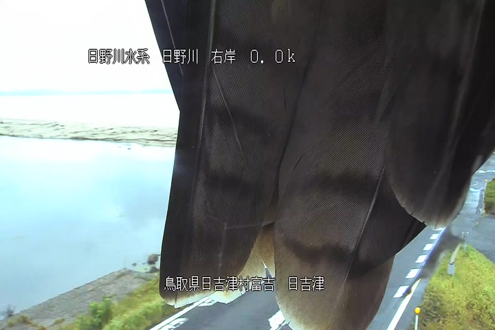 日吉津