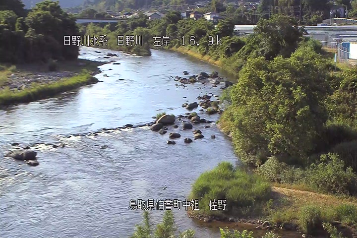 佐野