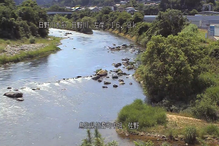 佐野