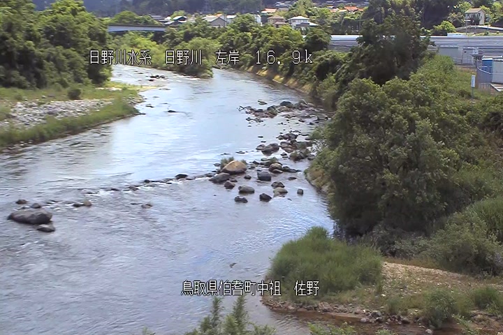 佐野