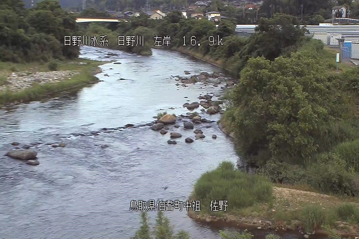 佐野