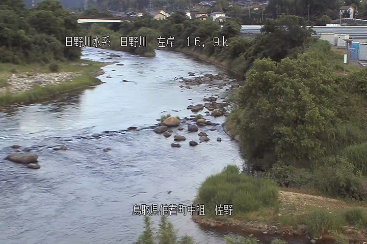 佐野