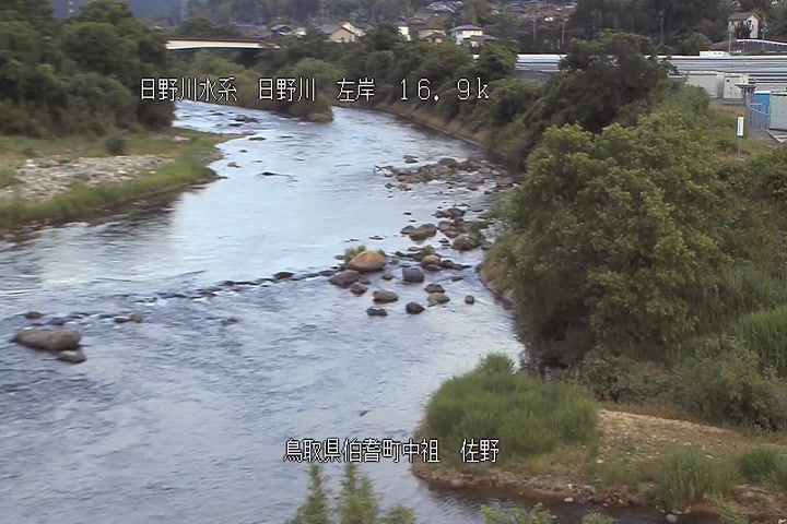 佐野