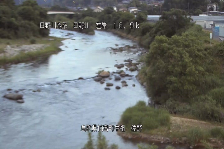 佐野