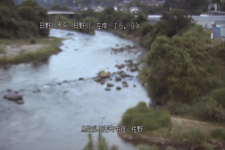 佐野