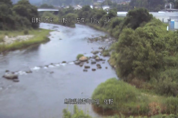 佐野