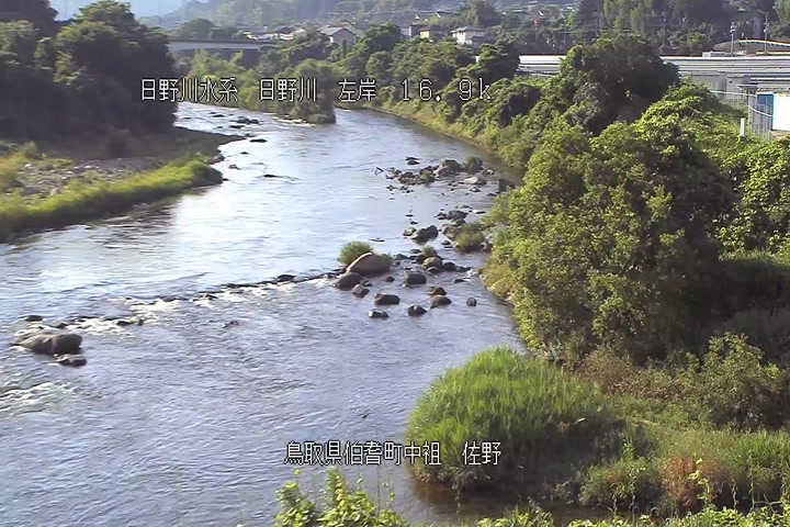 佐野