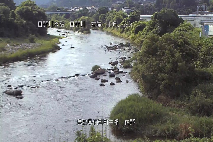 佐野