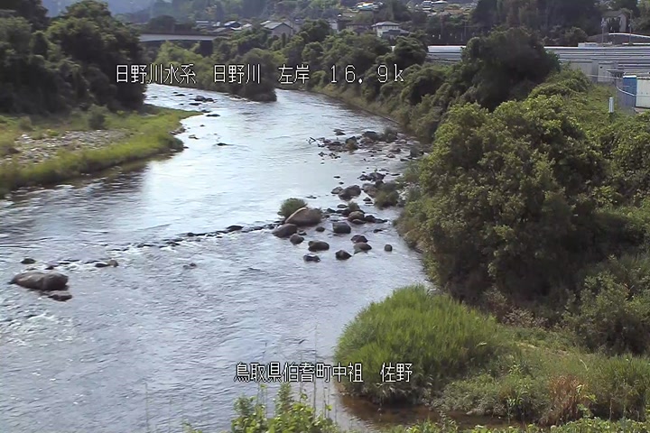 佐野