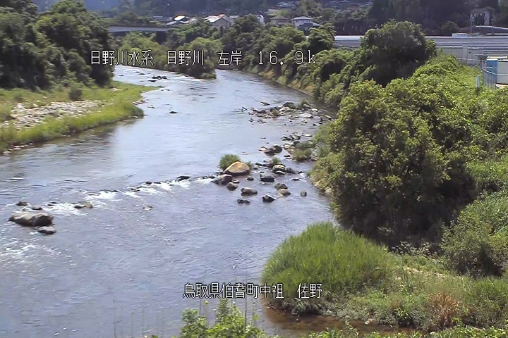 佐野