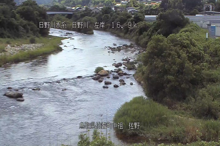 佐野