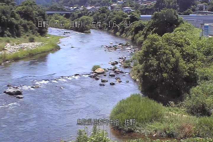佐野