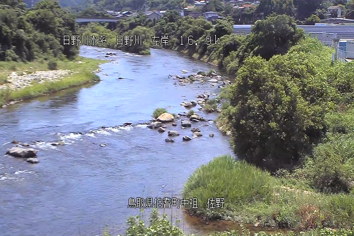 佐野