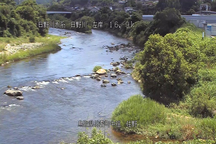 佐野