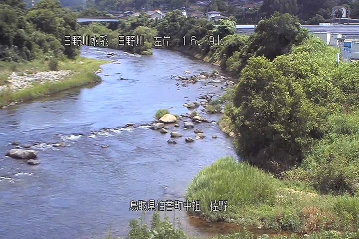 佐野