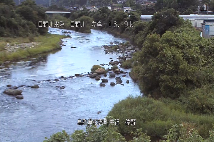 佐野
