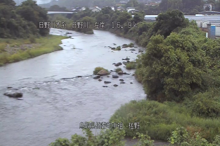 佐野