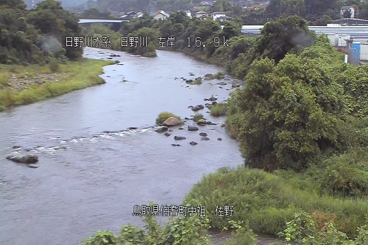 佐野