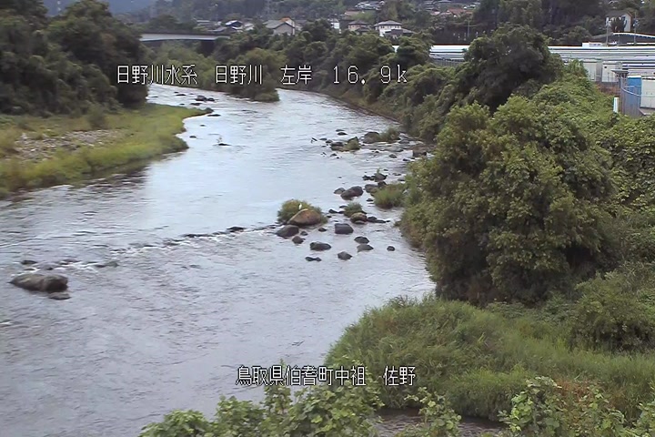 佐野
