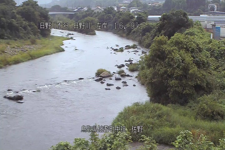 佐野