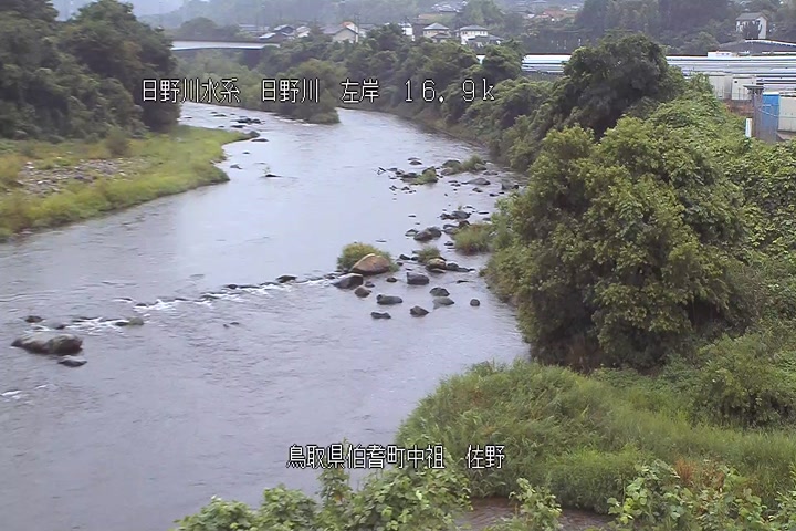 佐野