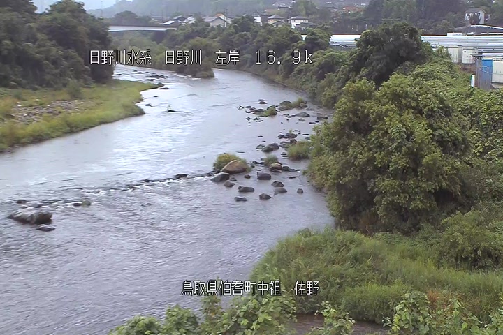 佐野