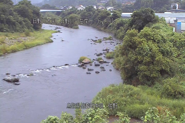 佐野
