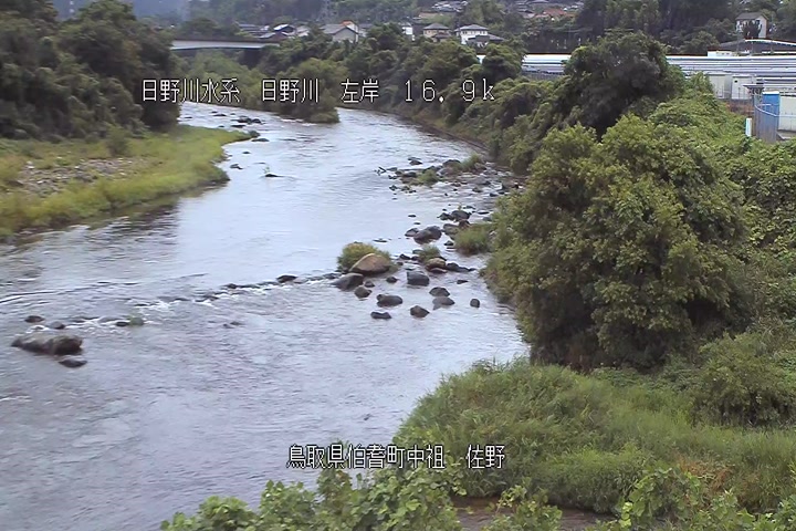 佐野
