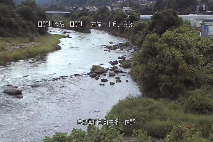 佐野