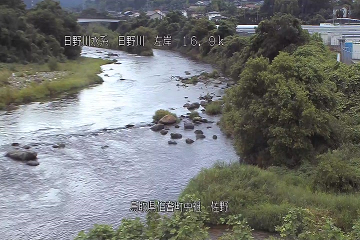 佐野