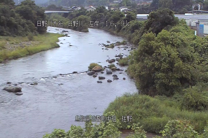 佐野