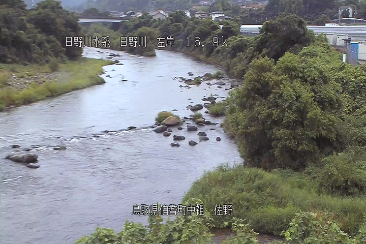 佐野