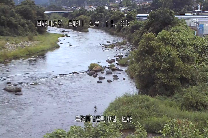 佐野