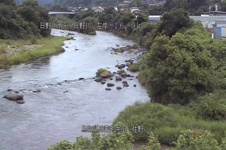 佐野