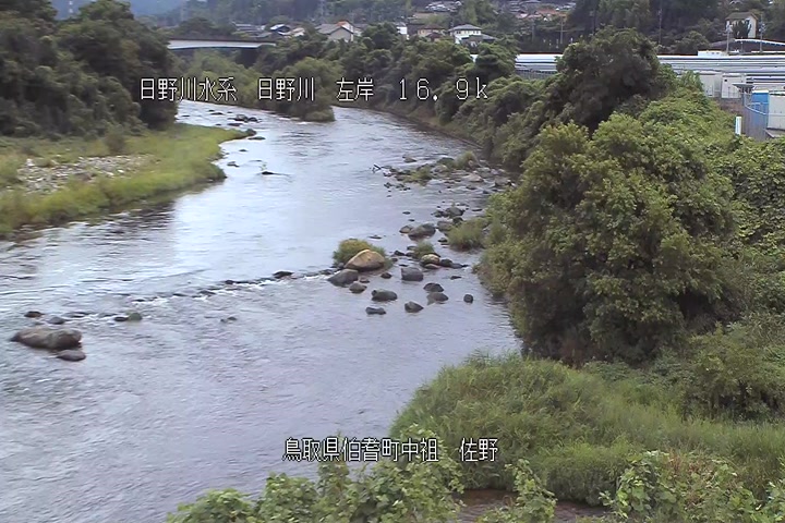 佐野