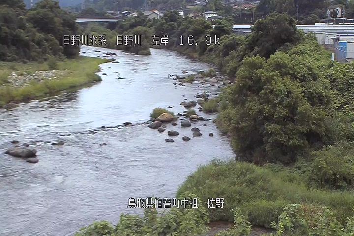 佐野