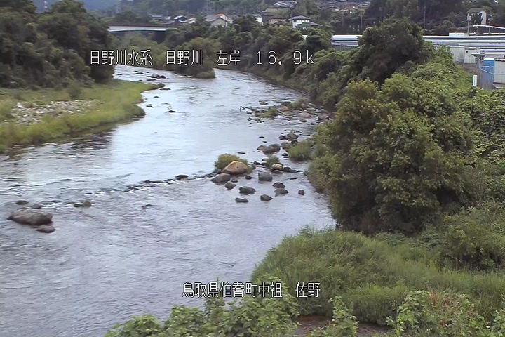 佐野