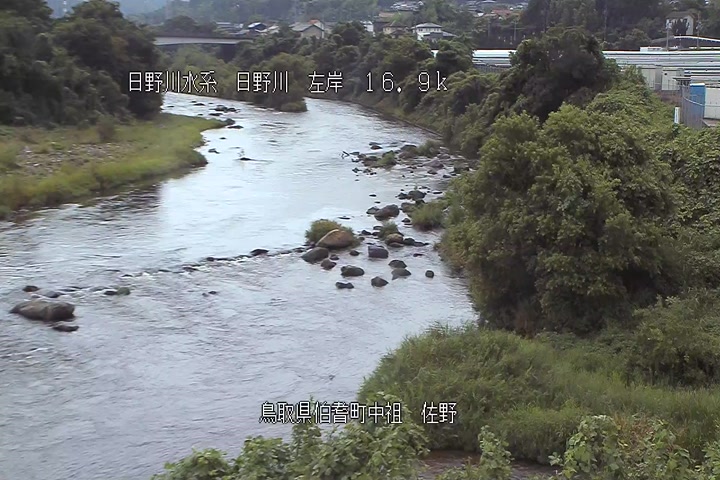 佐野