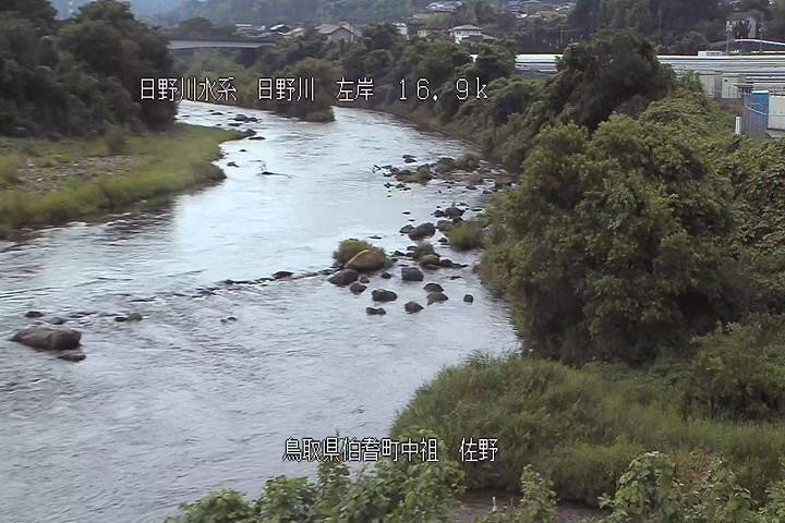佐野