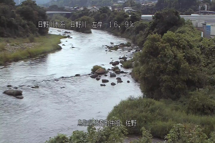 佐野