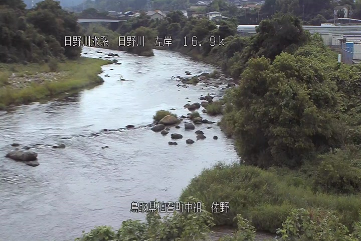 佐野