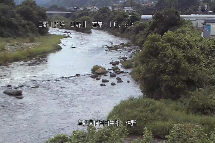 佐野