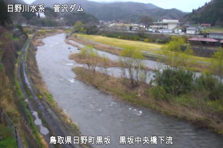 黒坂中央橋下流