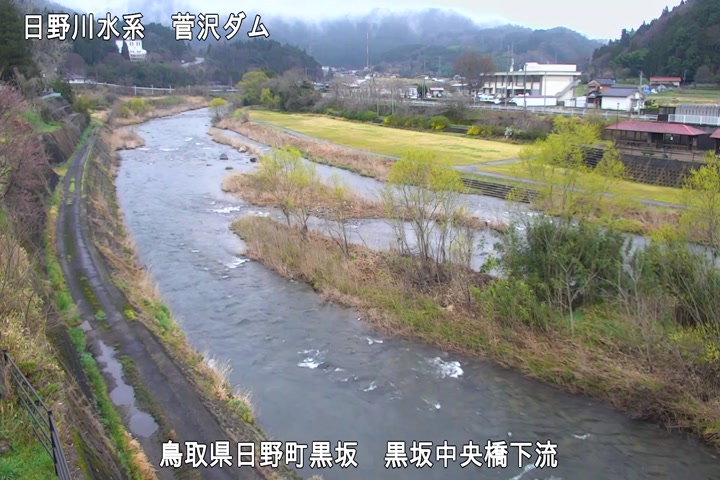 黒坂中央橋下流