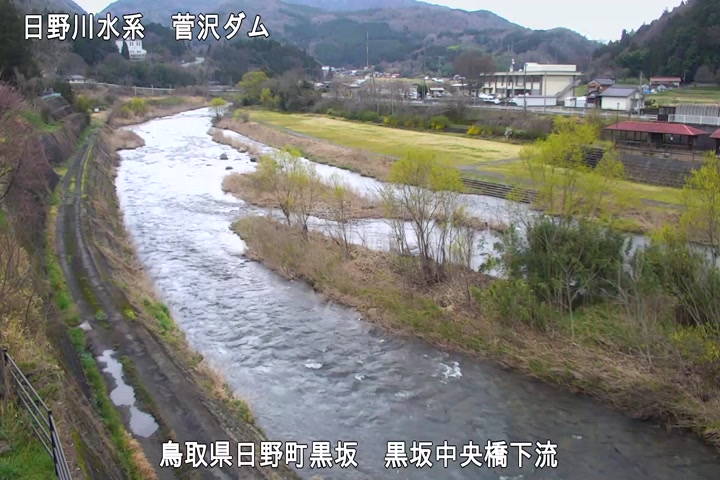 黒坂中央橋下流