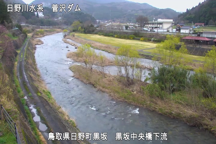 黒坂中央橋下流